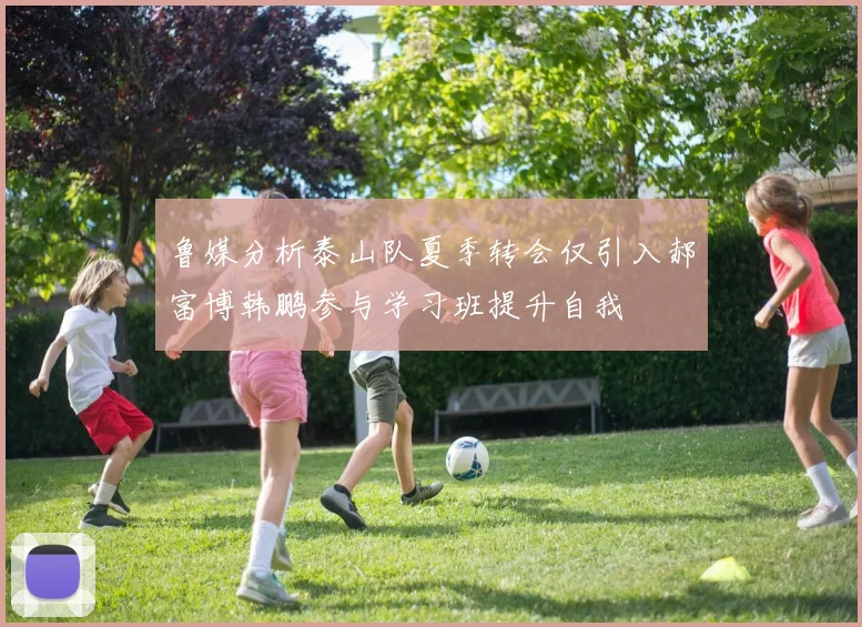 鲁媒分析泰山队夏季转会仅引入郝富博韩鹏参与学习班提升自我