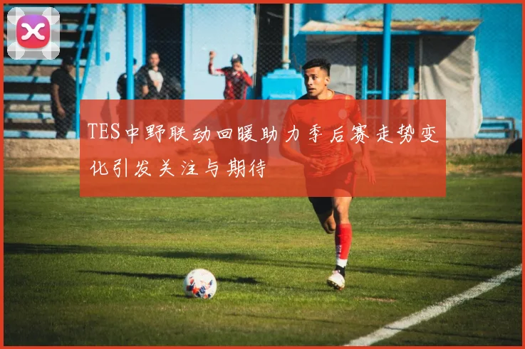 TES中野联动回暖助力季后赛走势变化引发关注与期待