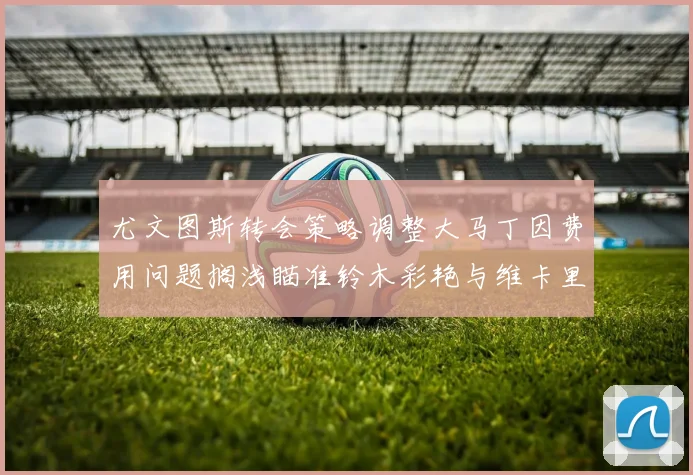 尤文图斯转会策略调整大马丁因费用问题搁浅瞄准铃木彩艳与维卡里奥